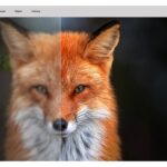 4by4 Inc. Unveils PIXELL Live Streaming for Real-Time AI Video Enhancement at Inter BEE 2025