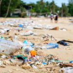 High Seas Treaty: Major Corporate Shifts Ahead as Ocean Conservation Demands Rise by 2026