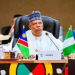 Nigeria Calls for Global Minerals Equity and AI Ethical Standards at G20 Summit