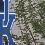 University of Kentucky Partners with Microsoft to Advance Statewide AI Education and Health Care