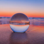 AI, Deep-Sea Mining, and Tropical Forests: Key Trends Shaping Biodiversity in 2024