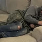 AI Homeless Man Prank Sparks Outcry, Exposing Moral Crisis in Digital Education