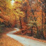 AI Reshapes Marketing Roles: Embrace Cyborg, Innovator, or Artisan Identities