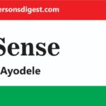 AI’s Ethical Revolution: Transforming Public Relations with the 3H Model for Trust and Accountability