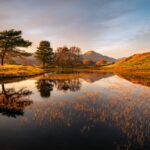 AI’s Growing Energy Demand: Companies Must Elevate Governance to Mitigate Risks