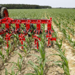 AI’s Hidden Carbon Footprint in Farming: Experts Urge Sustainable Practices to Mitigate Impact