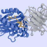 Chai Discovery Secures $130M to Propel AI-Driven Drug Development, Valued at $1.3B