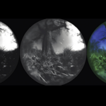 Generative AI Bridges Gap in Ecological Neuroscience, Transforming Animal Behavior Research