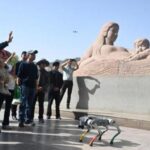 Humanities Education Gains Importance as AI Challenges Ethical Decision-Making