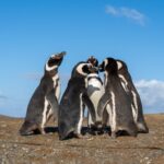 Leaders Must Cultivate 5 Key Cultural Attributes for Successful AI Transformation