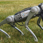 Purdue University Launches AI Working Competency Requirement for All Undergraduates