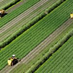 University of Florida Launches 40,000-Sq-Ft AI Hub to Revolutionize Farming and Combat Food Insecurity