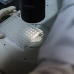 AI’s Rise Fuels 33% Surge in Junk Papers, Threatening ArXiv’s Scientific Integrity