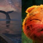 Adobe Showcases Generative AI’s Impact on Filmmaking with New Shorts at Sundance