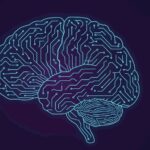 Boards Must Prioritize AI Ethics: Global Regulations Shift from Guidelines to Compliance