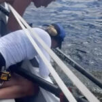 British Rowers Pause Transatlantic Race to Rescue Entangled Sea Turtle, Highlight Ocean Conservation