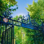 Cambridge Centre for Alternative Finance Surveys Global AI Adoption in Financial Services