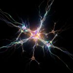 Chutaux et al. Unveil Framework for AI Creativity Based on Four Key Components