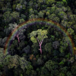 Indigenous Leadership Essential for Ethical AI in Global Conservation Efforts