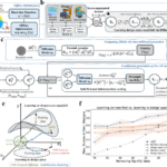 ManGO Achieves Superior Offline Optimization Performance with Advanced Diffusion Models