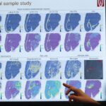 Wisconsin Universities Lead AI Innovation with Groundbreaking Research and Collaborations