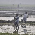 Bharat-VISTAAR Launches Voice-First AI Tool for Farmers, Enhances Data Access and Decision-Making