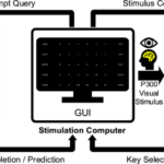 ChatBCI Launches P300 Speller BCI with Context-Driven Word Prediction Using GPT-3.5