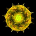 DeepBlastoid Achieves 97% Accuracy in Automated Evaluation of Human Blastoids