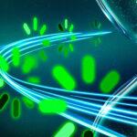 MIT’s New TLT Method Doubles LLM Training Speed While Preserving Accuracy