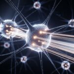 Researchers Discover Weight Decay Boosts LLM Adaptability, Revealing New Training Insights