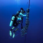 Researchers Propose PEPP Framework to Ensure Ethical AI in Animal Communication Studies