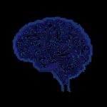 Rutgers and Red Hat AI Launch T3D Framework, Boosting Text Generation by 85%