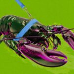 China’s OpenClaw AI Trend Sparks Local Government Support and Programmer Gold Rush