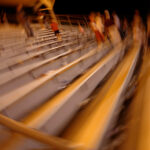 Credentials Boost Earnings by $79K for AI Professionals Amid Rapid Technological Change