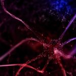 ERC Report Unveils 238 AI Health Projects, Supporting EU Trustworthy AI Regulations