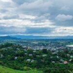 Horizon Networks Collaborates with Rhizome to Enhance Grid Planning with AI Tool