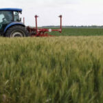 IIT-Ropar Launches 100 AI Weather Stations in Punjab to Boost Farming Efficiency
