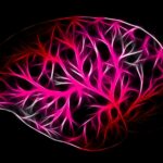 MindBio Raises CA$1.5M to Advance AI Voice Technology for Intoxication Detection