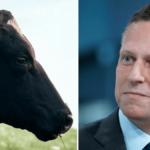 Peter Thiel Backs $2B AI Cow Collar Startup Halter Amid Growing Agtech Interest