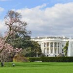 White House Proposes AI Policy Focused on Children’s Safety and State Law Preemption