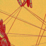 Ad Industry Grapples with AI Transparency as New Regulations Loom: 31.5% Impact on Effectiveness