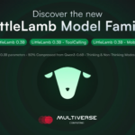 Multiverse Launches LittleLamb AI Models on Hugging Face, Reducing Size by 50%