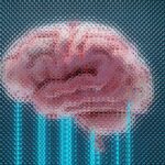 UCLA Study Reveals AI’s ‘Body Gap’ Could Compromise Safety and Trustworthiness